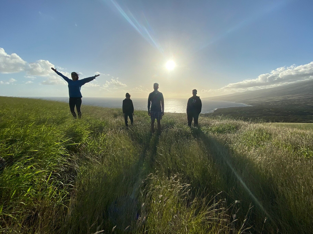 Maui Radiant Tours
