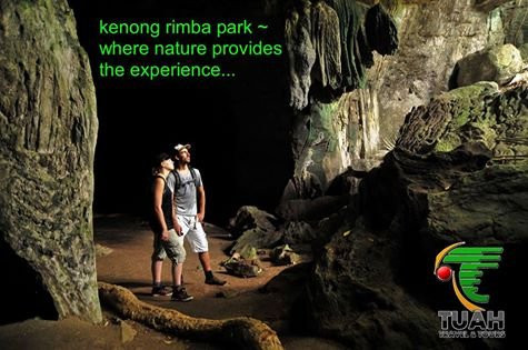 Kenong Rimba Park景点图片