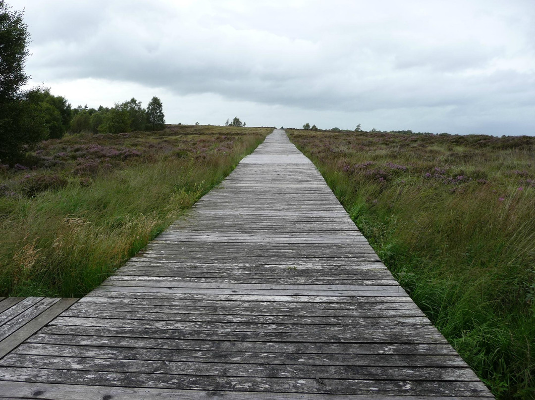 Corlea Trackway Visitor Centre