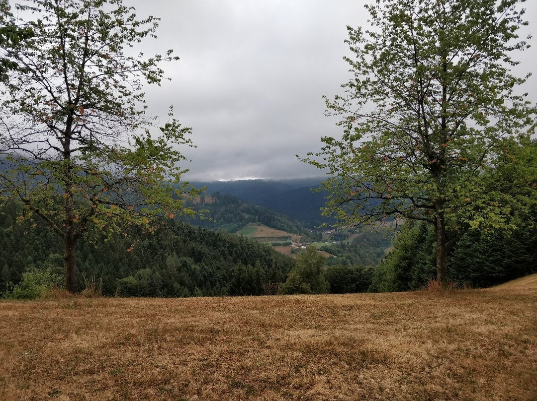 Schwarzwaldsteig