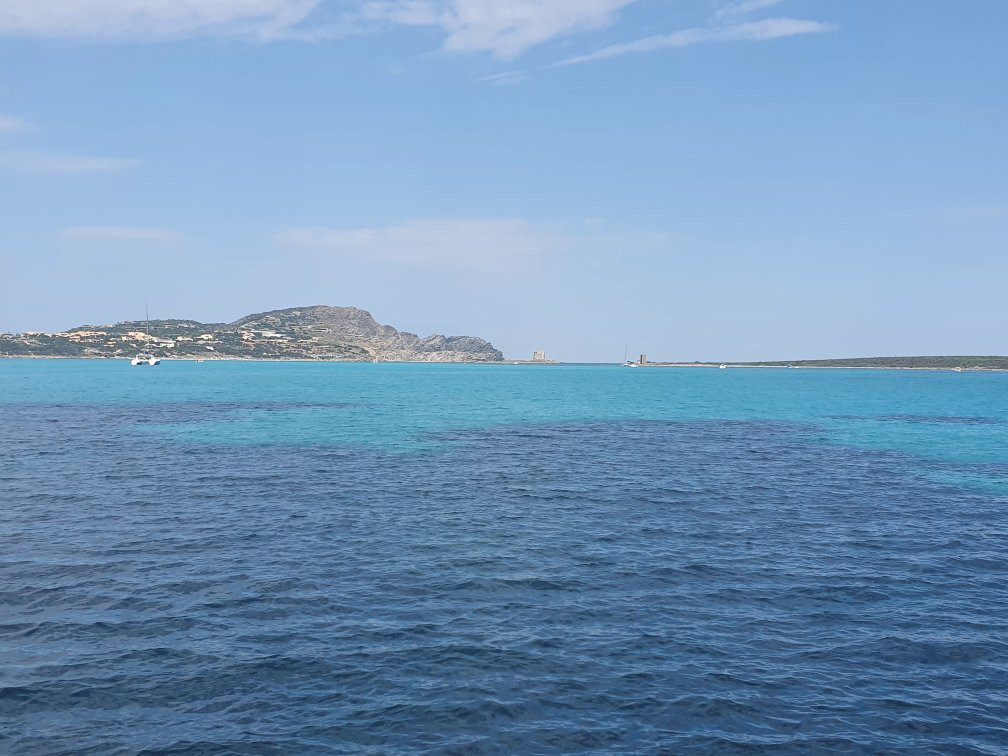 Asinara Catamaran Charter景点图片