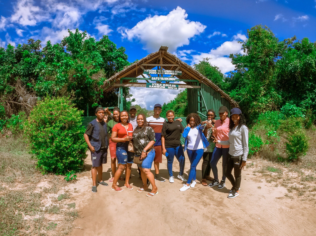 Bongo Plan-Dar es Salaam必去景点