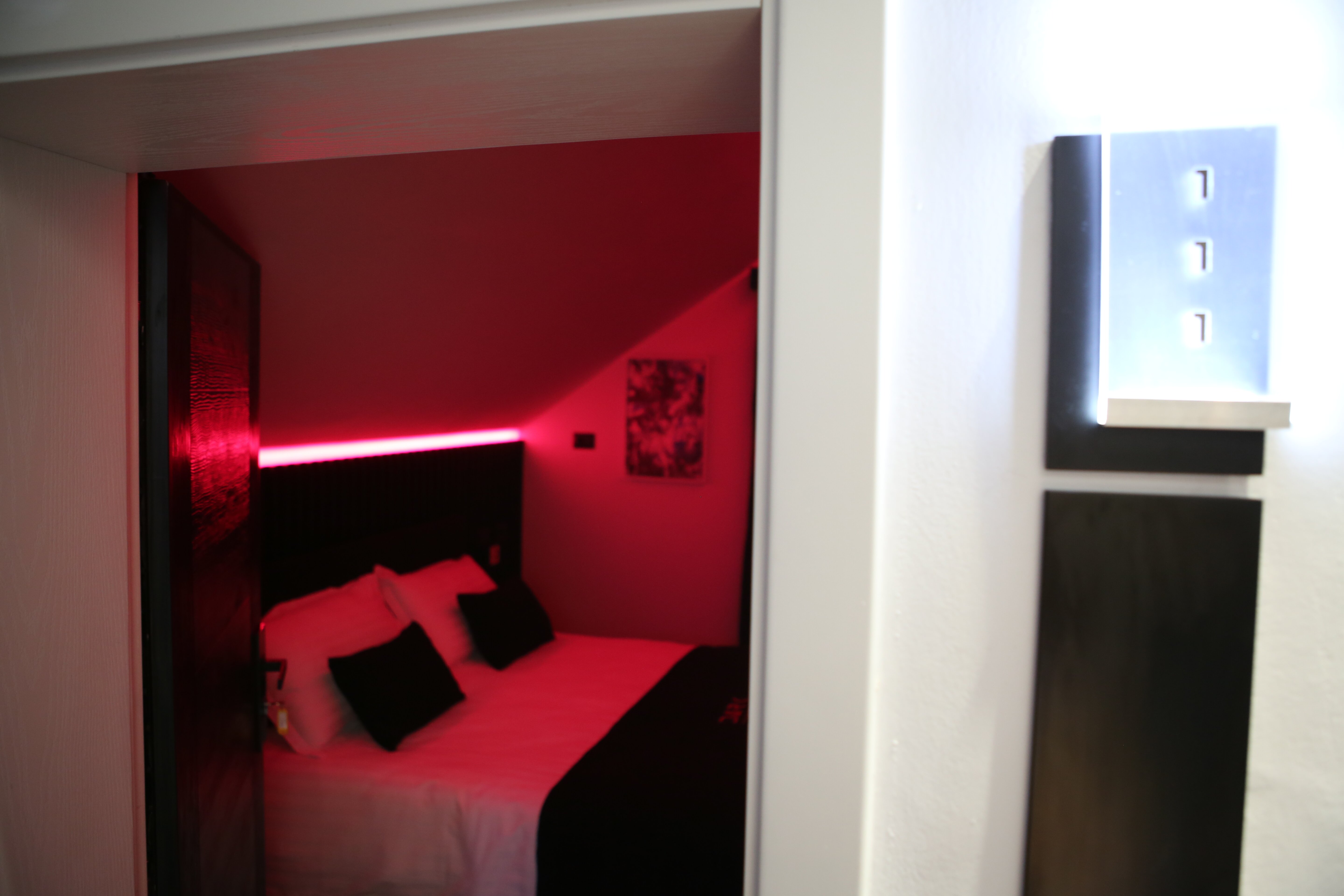 Dark Hotel-客卧