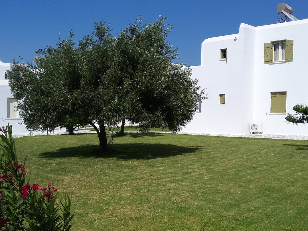 Mikri Vigla Hotel主图