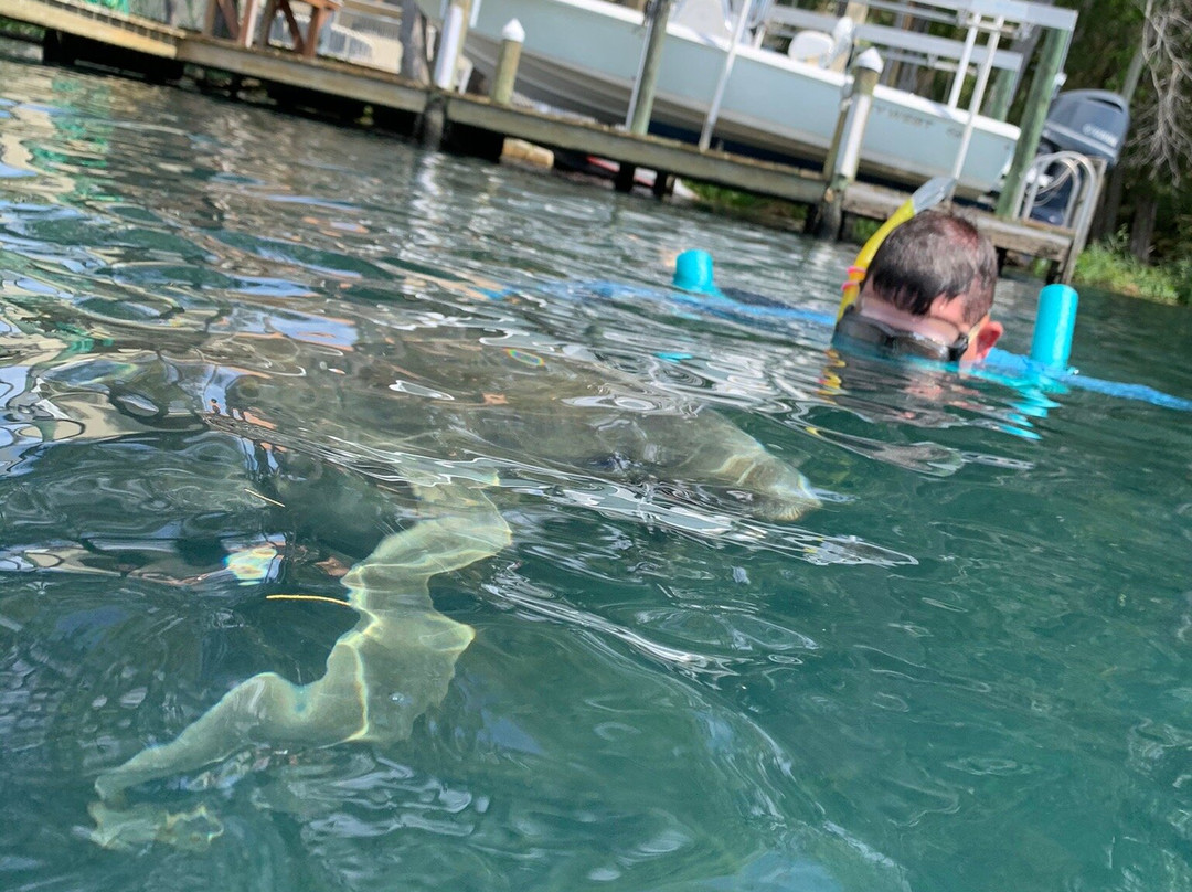 Manatee Tours & More-Homosassa必去景点