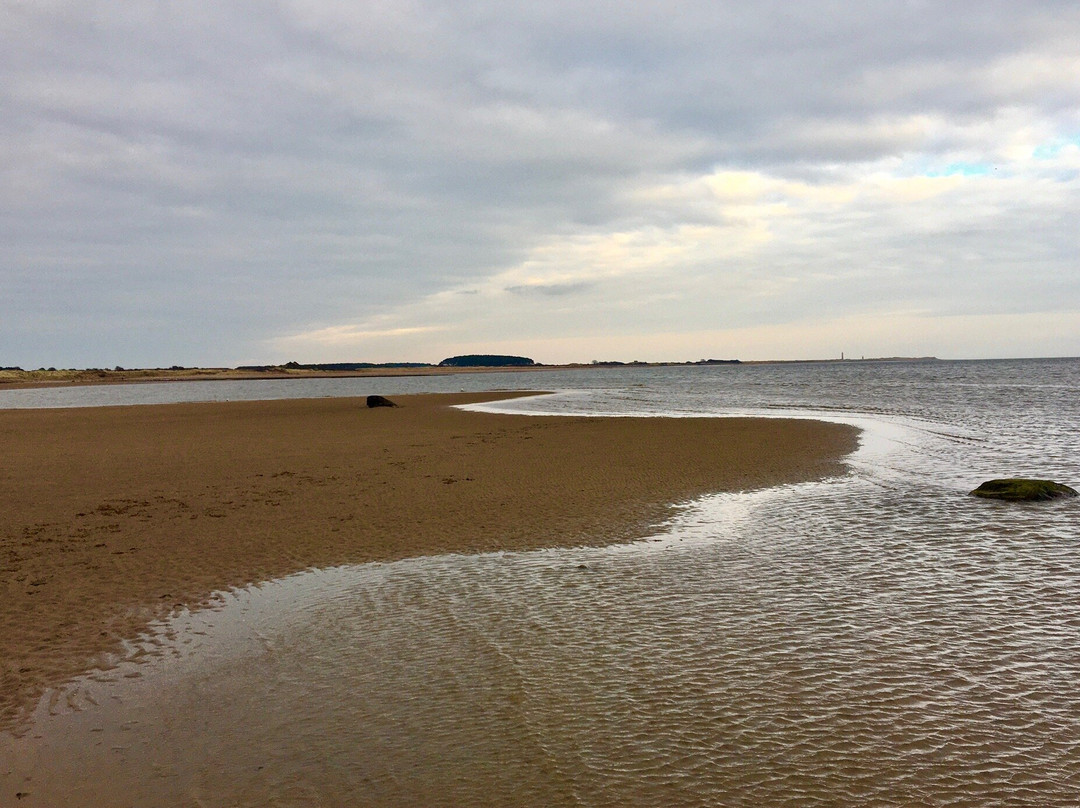 Monifieth Beach-Monifieth必去景点