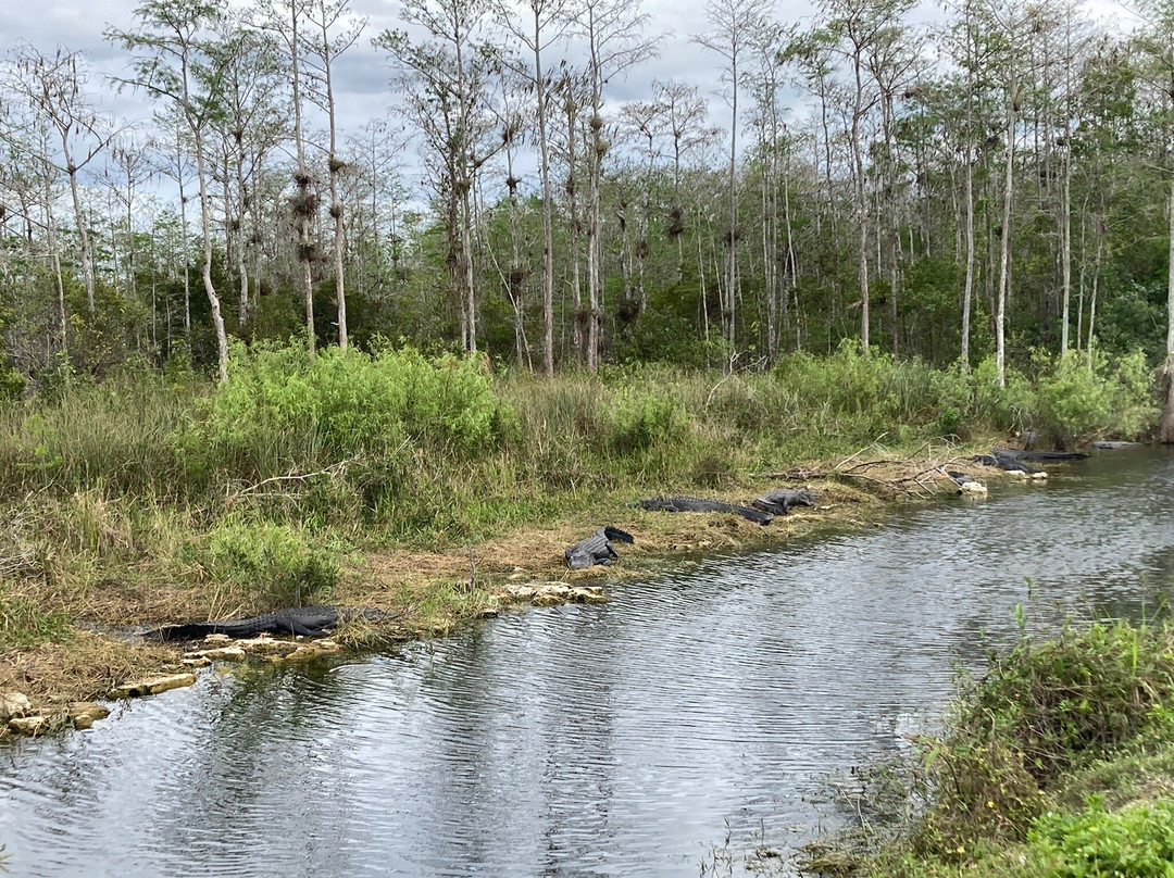 Oasis Visitor Center-奥乔皮必去景点