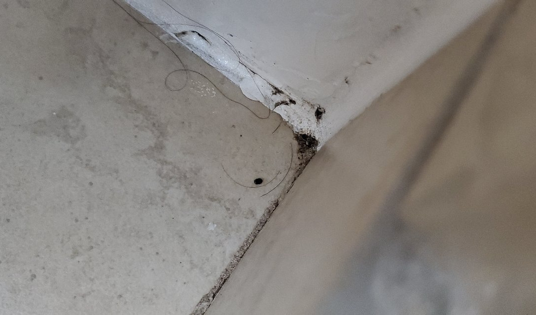 Granbury 拉昆塔旅馆及套房酒店主图