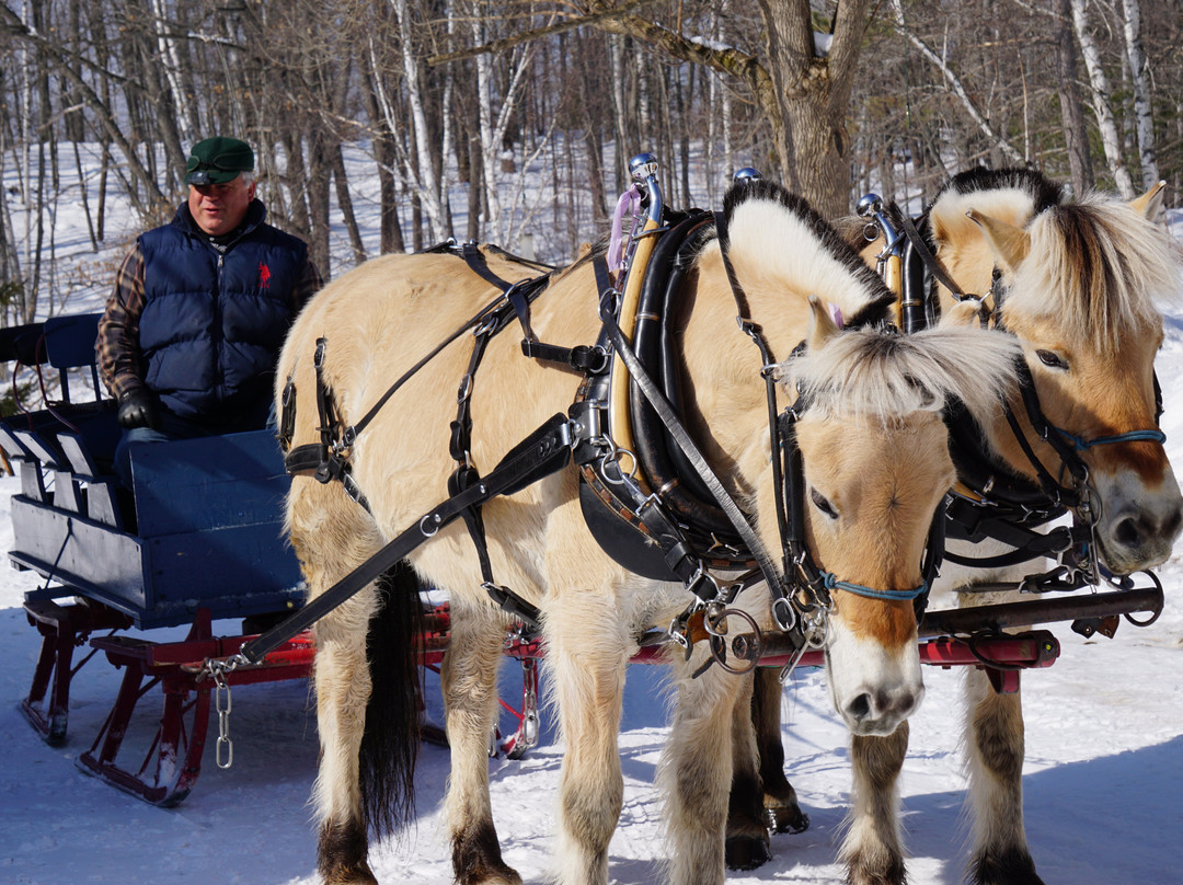 Sleighman-Ishpeming必去景点