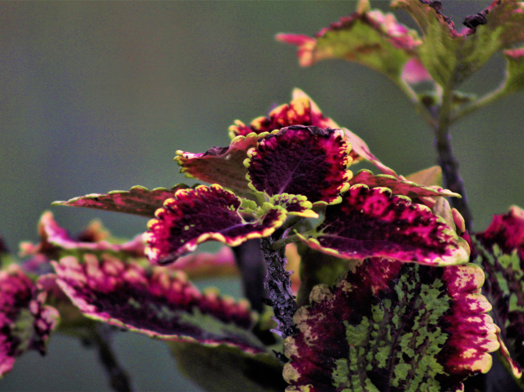 Pousada Salto Sete主图