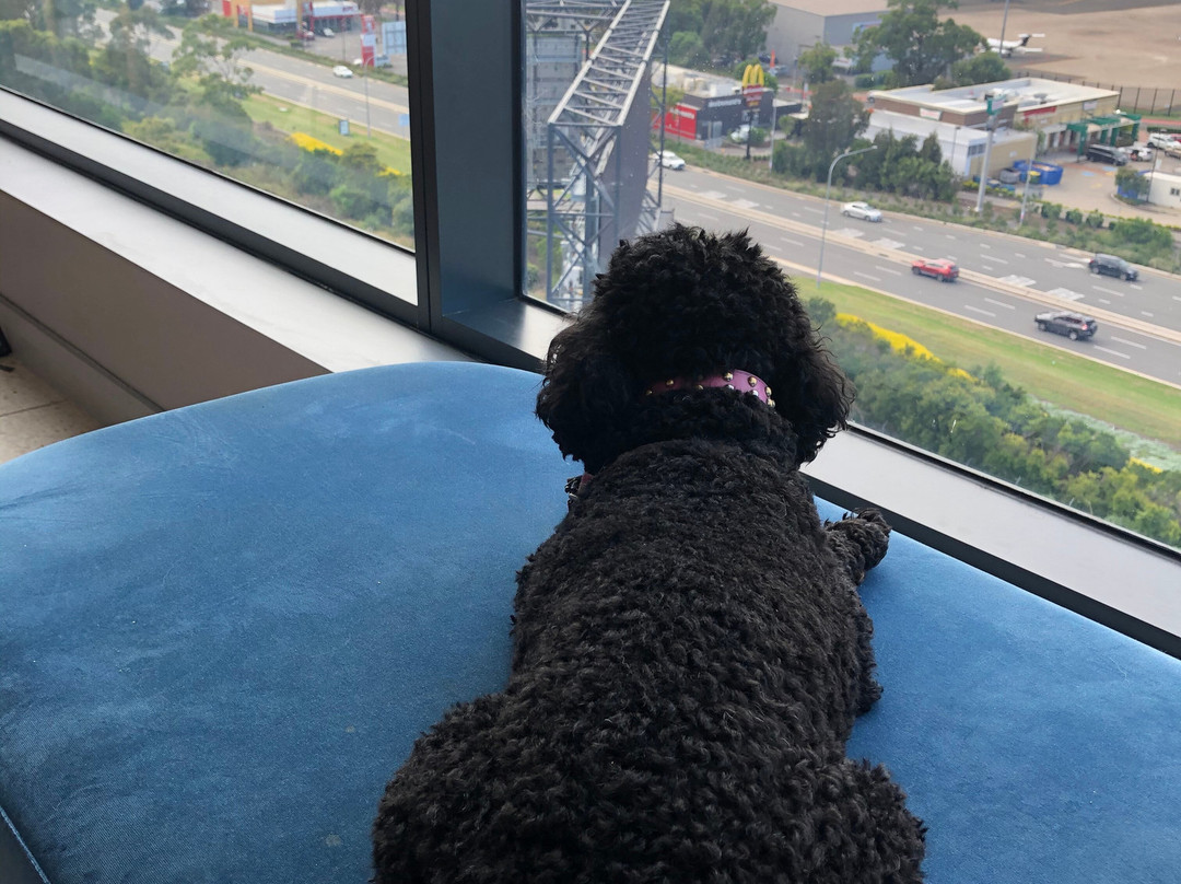 Citadines Connect Sydney Airport主图