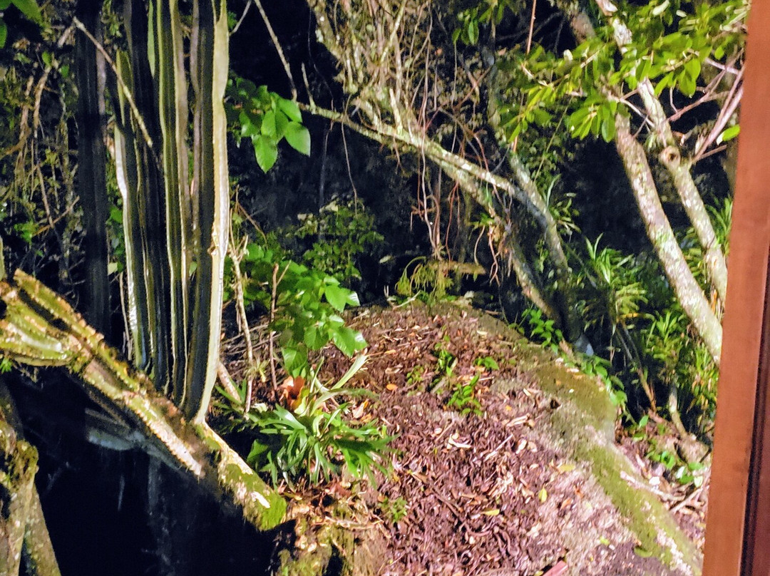 Pousada Recanto Primavera主图