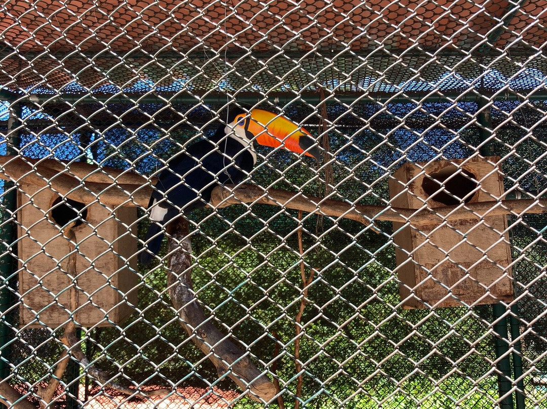 Arca do Noah - Educacao Ambiental-Guaratiba必去景点