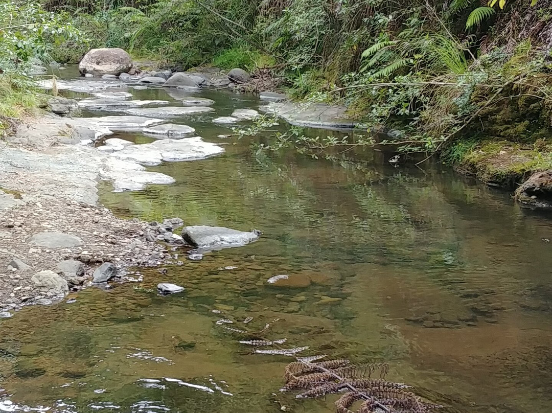 Waiau Falls Walk景点图片