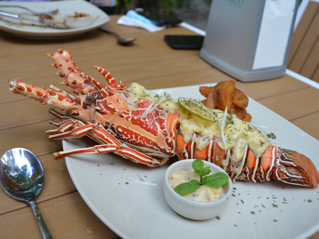 Village Hideaways & Spas主图