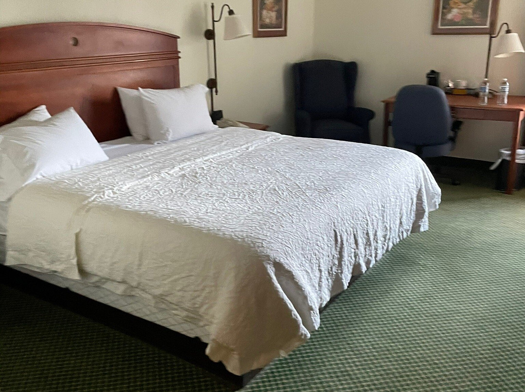 切斯特希尔顿恒庭酒店主图