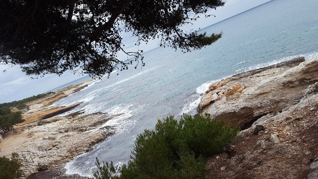 Côte Bleue Plongée-Sausset-les-Pins必去景点