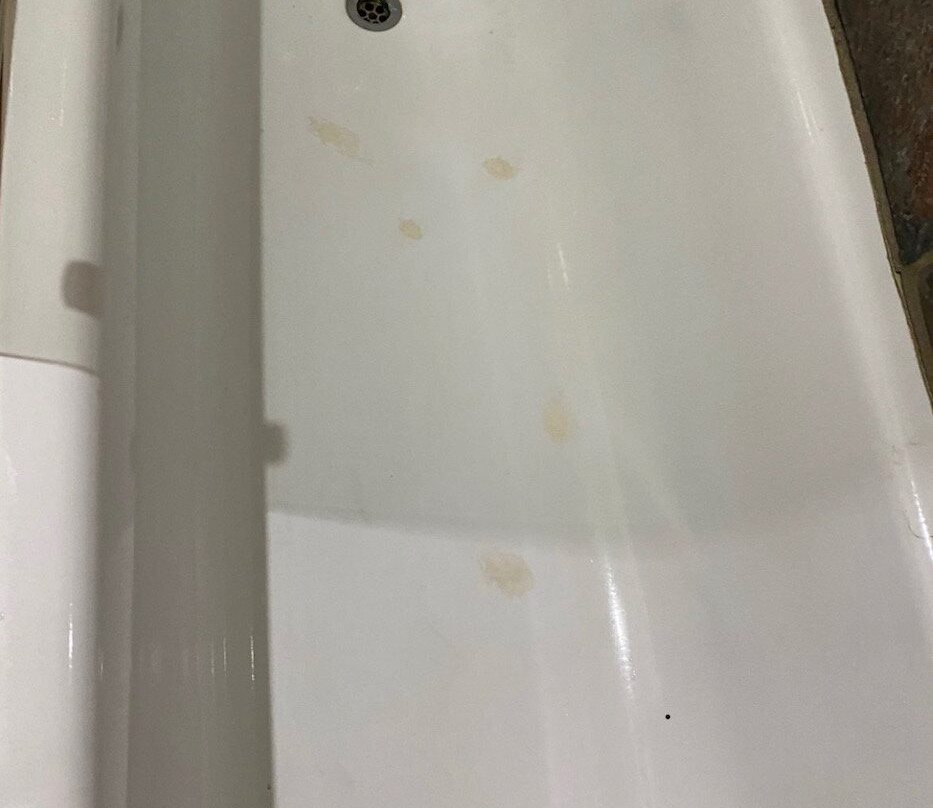 Hornbill Lodge主图