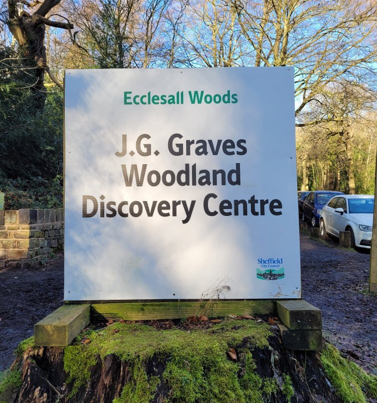Ecclesall Woods-谢菲尔德必去景点