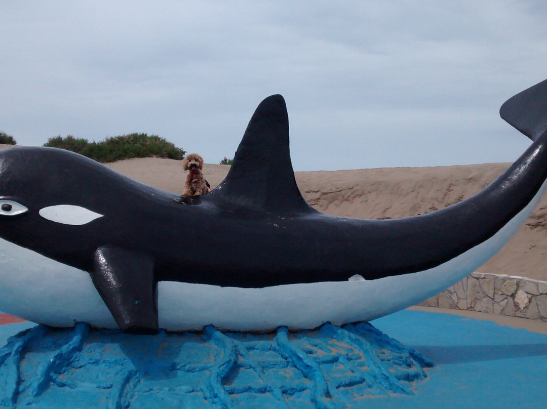 Paseo De La Orca-Mar de Ajo必去景点