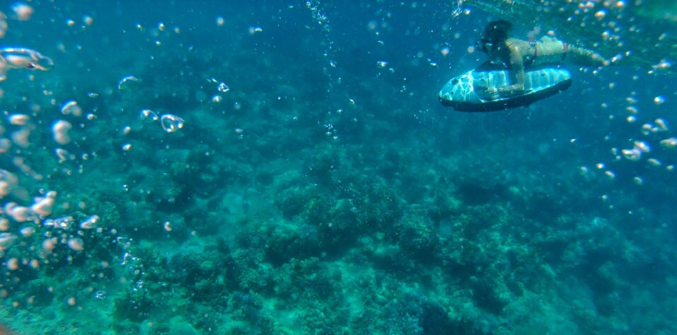 Aquaray Water Tours景点图片