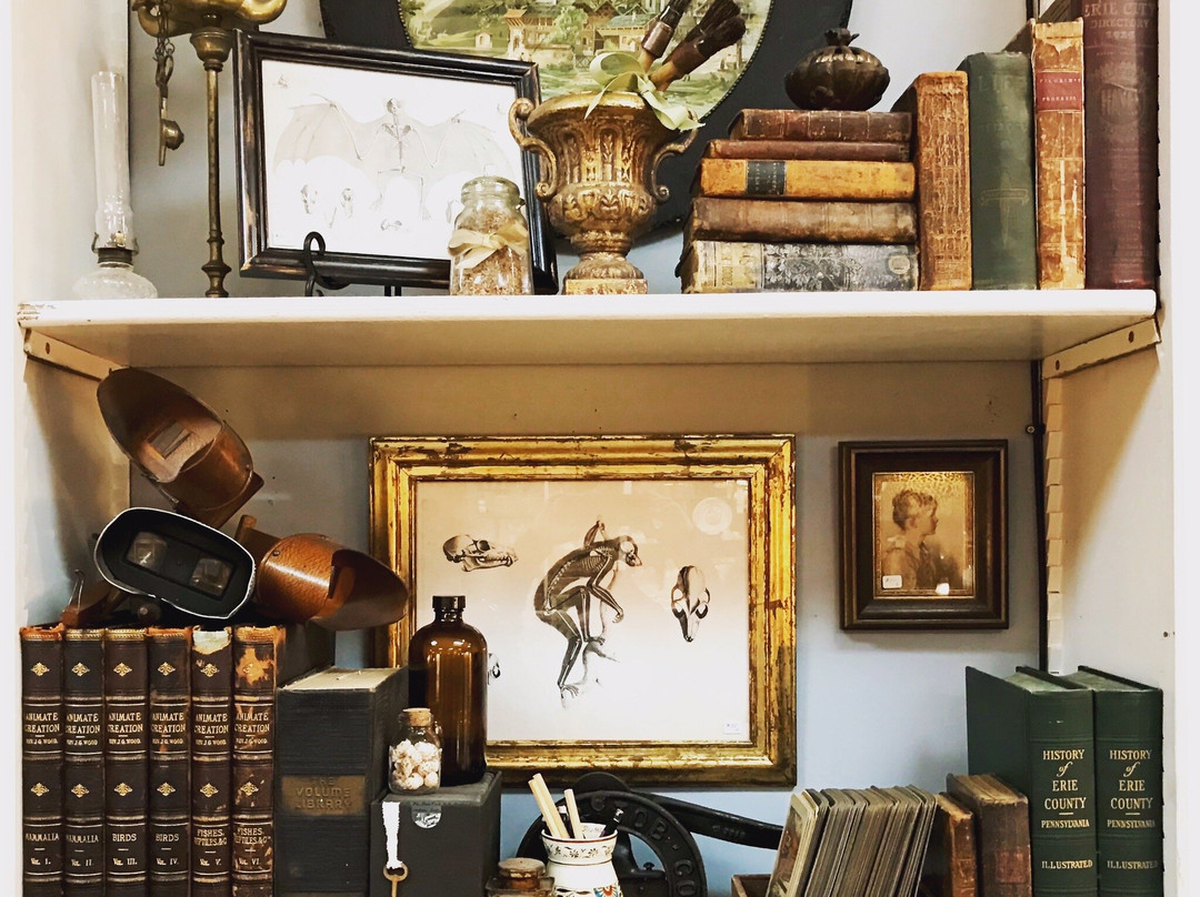 The Green Eyed Lady-Edinboro必去景点