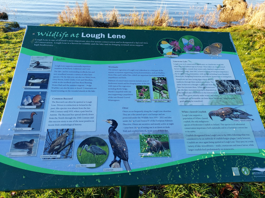 Lough Lene-Castlepollard必去景点
