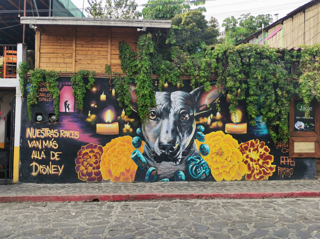 Excellence Mexico Tours-墨西哥城必去景点