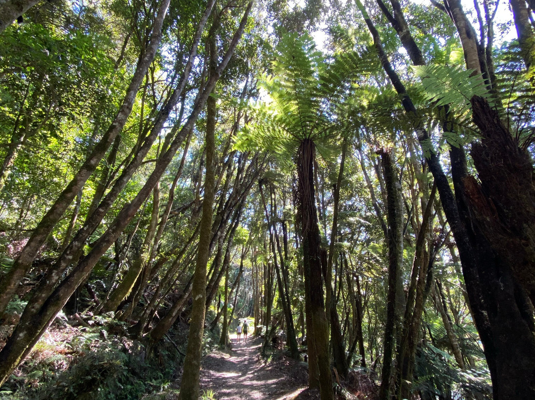 Whanganui National Park-旺加努伊必去景点