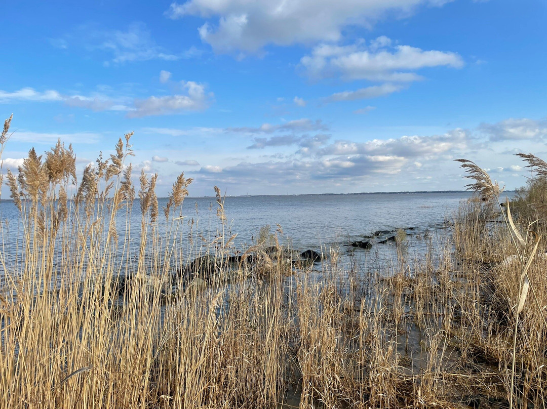 Fort DuPont State Park景点图片