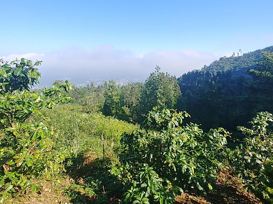 Mammoth's Cliff Jungle Resort主图