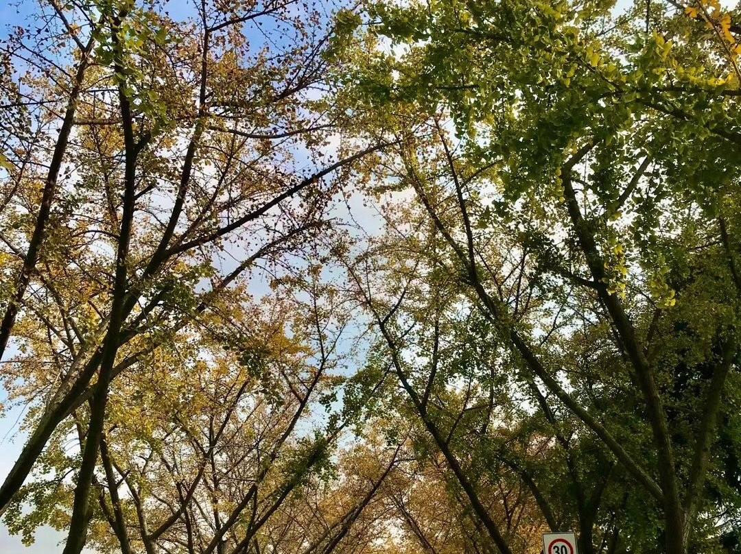 江都水利景区-江都市必去景点