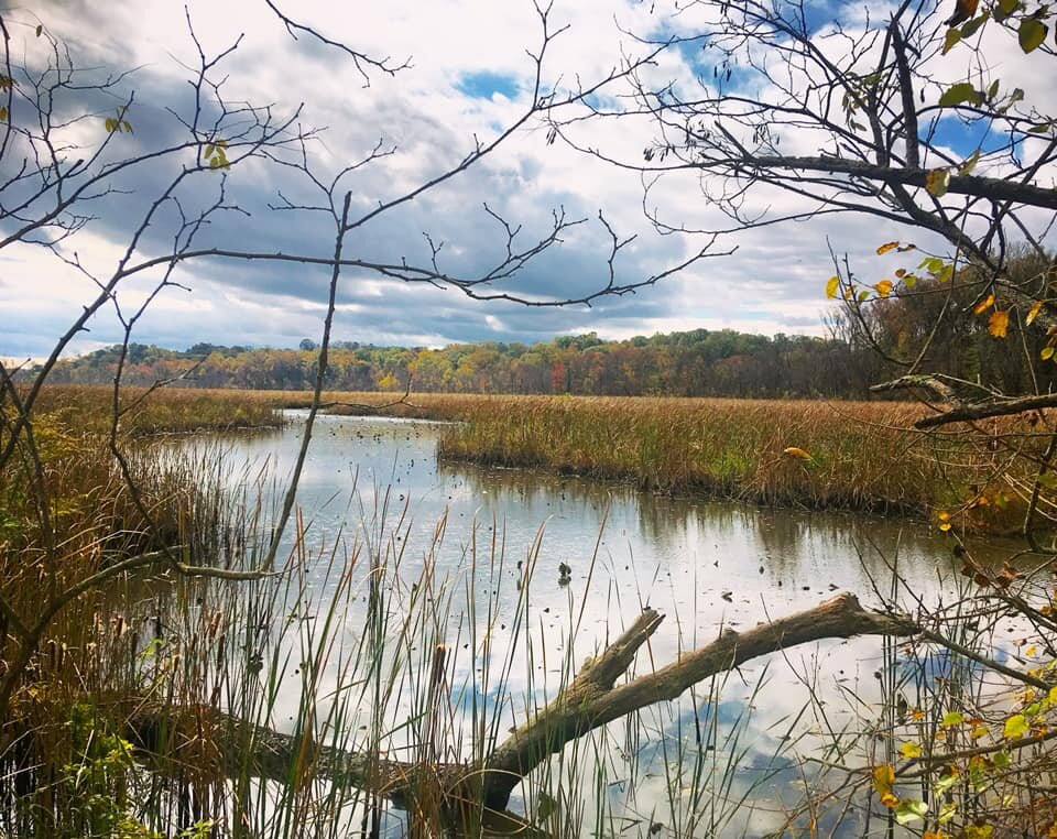 Dyke Marsh Wildlife Preserve-亚历山德里亚必去景点