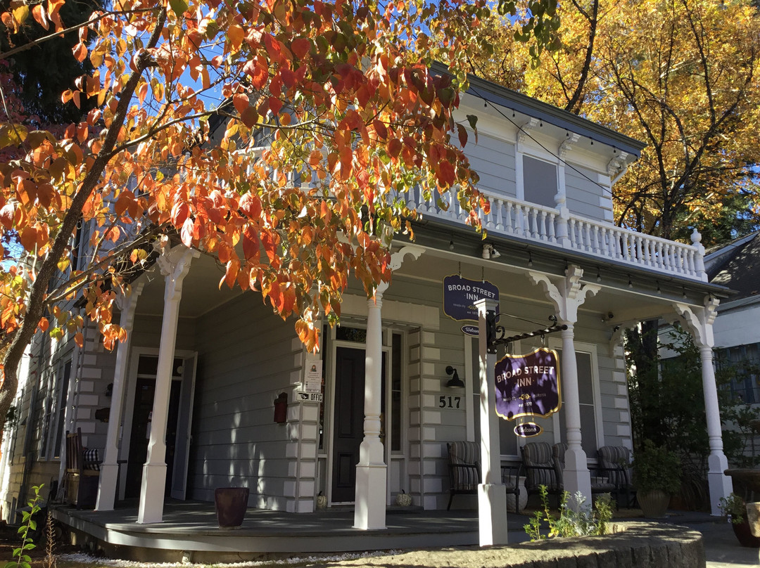 布洛德大街旅馆主图