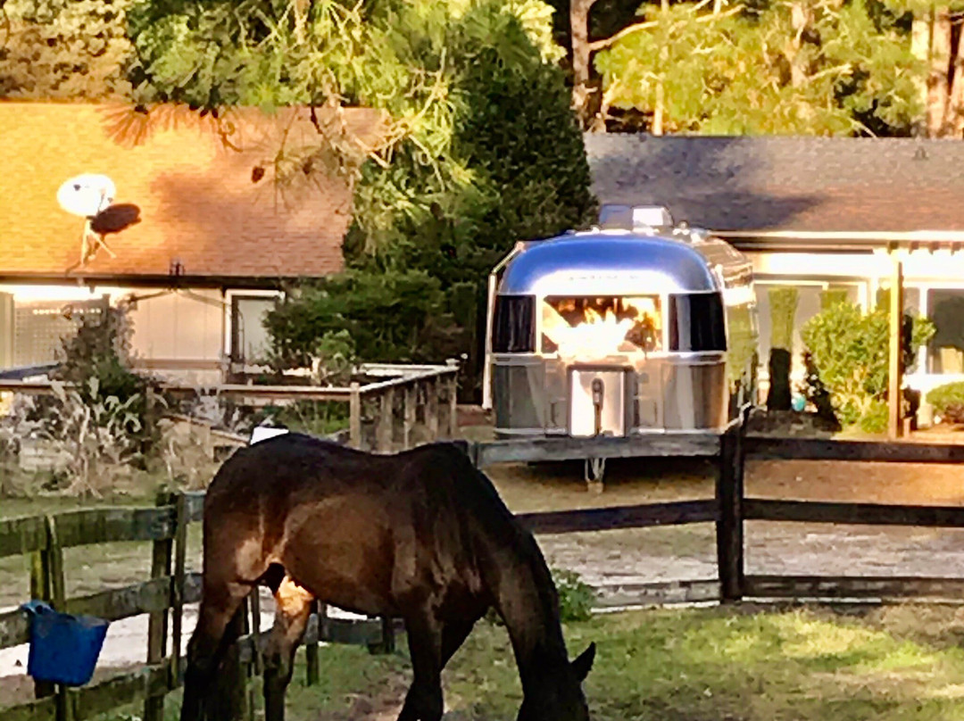 Tanglewood Farm Bed & Breakfast主图