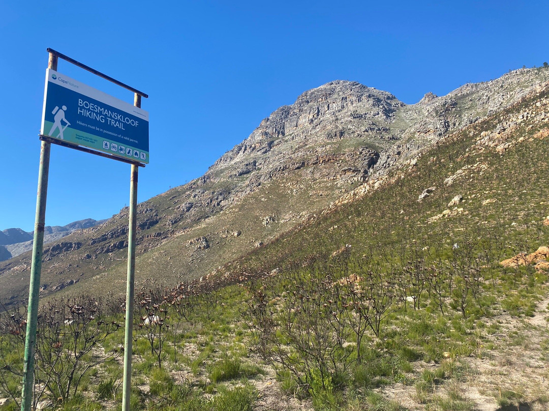 Shoshin Walks-McGregor必去景点