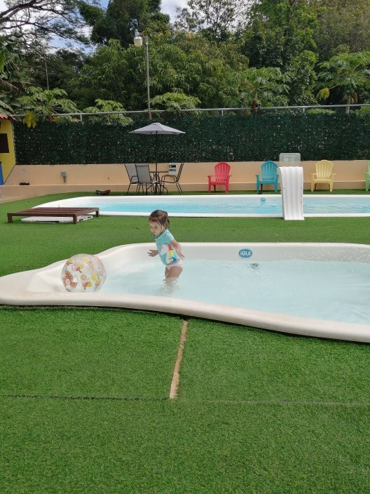 Roxy’s Bed and Breakfast主图