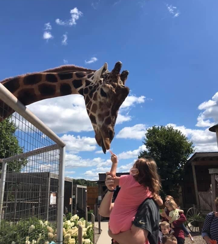 Boulder Ridge Wild Animal Park-Alto必去景点