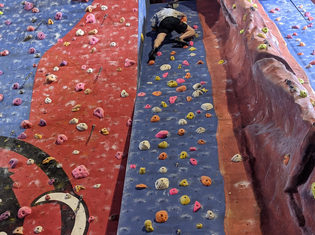 Awesome Walls Climbing Centre Stockport景点图片