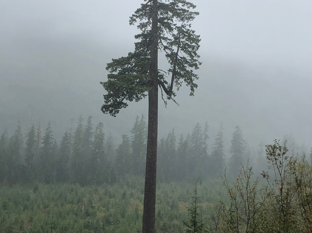 Explore Vancouver Island-纳奈莫必去景点