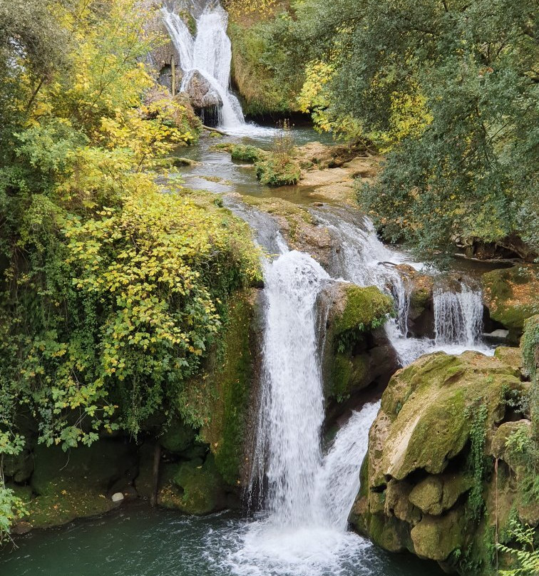 Lac de Carcès景点图片