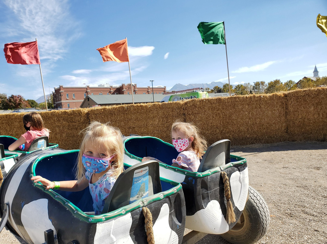 Cornbelly's Corn Maze & Pumpkin Fest景点图片