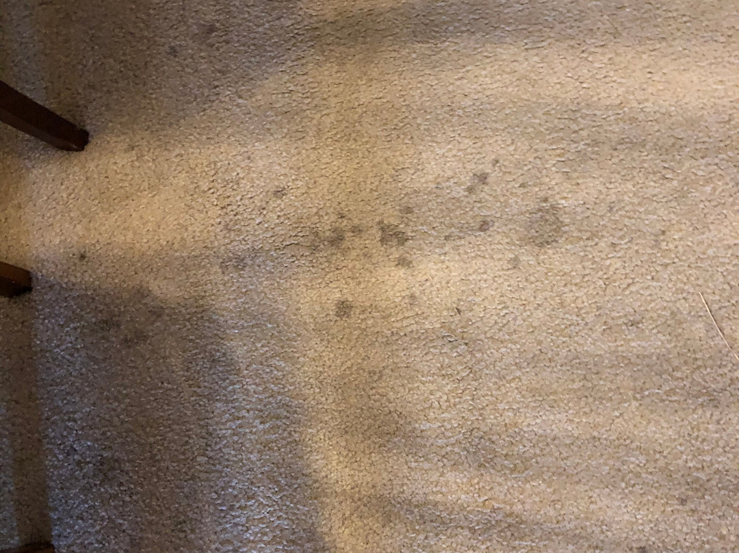 Pawleys Plantation Golf and Country Club主图