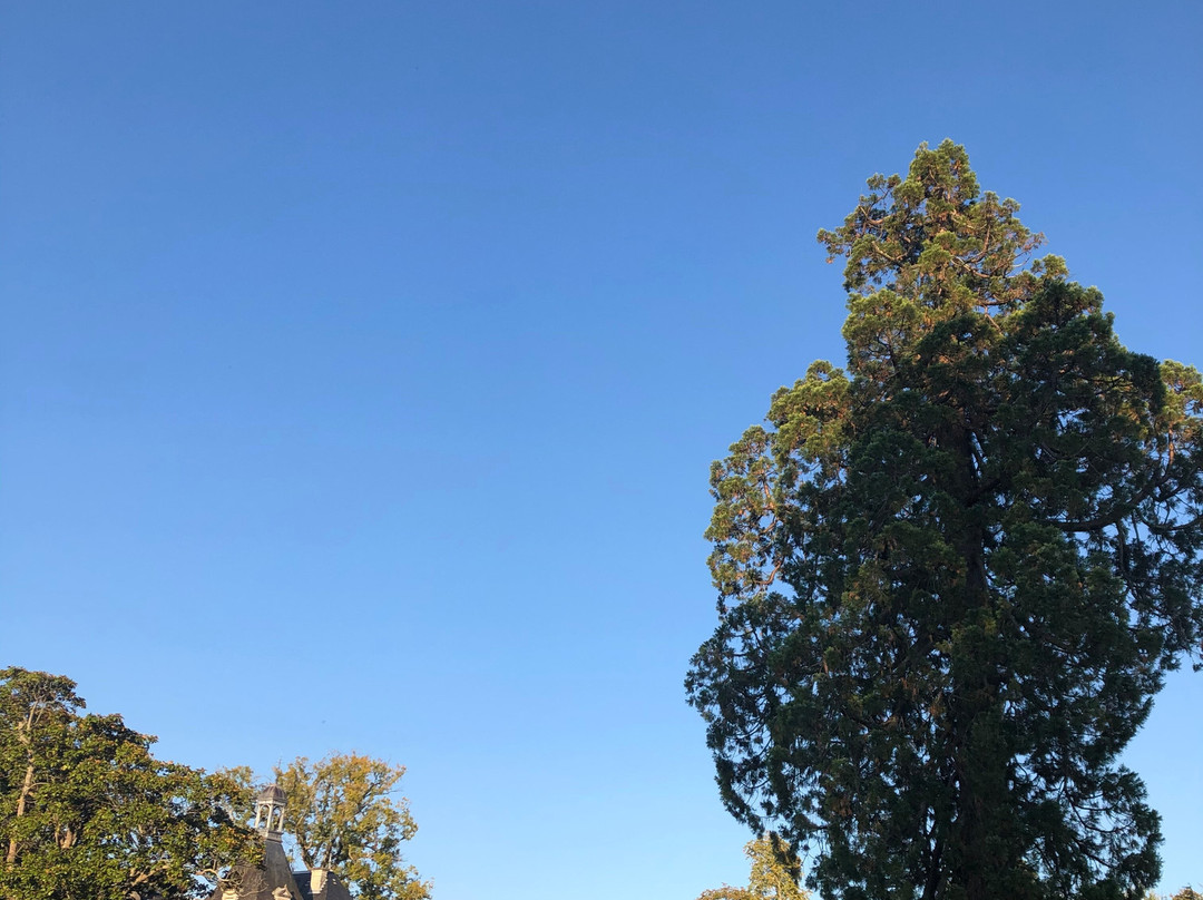 蒙泰马斯乐城堡酒店主图