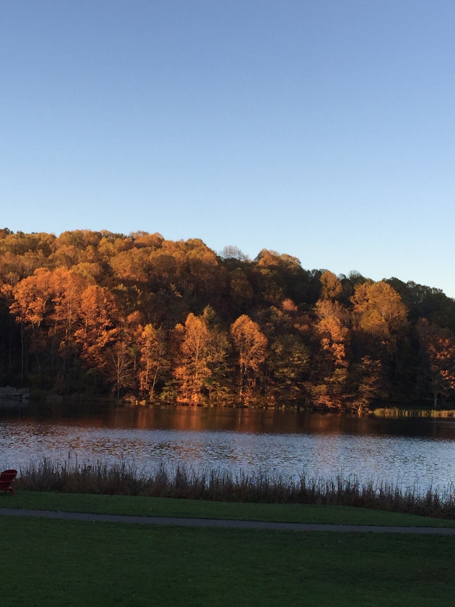 Peaks Of Otter Lodge-酒店景观