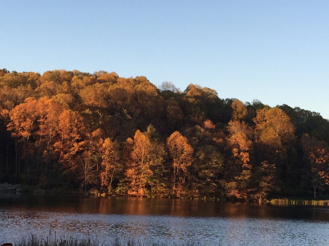 Peaks Of Otter Lodge主图