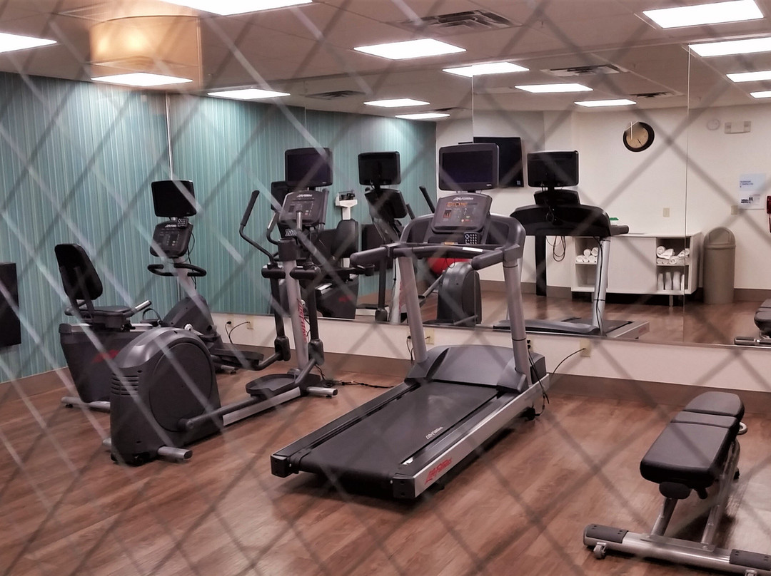 索科罗智选假日酒店主图