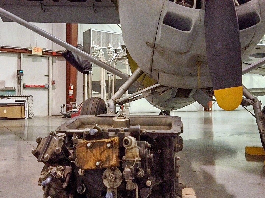 Yanks Air Museum-奇诺必去景点