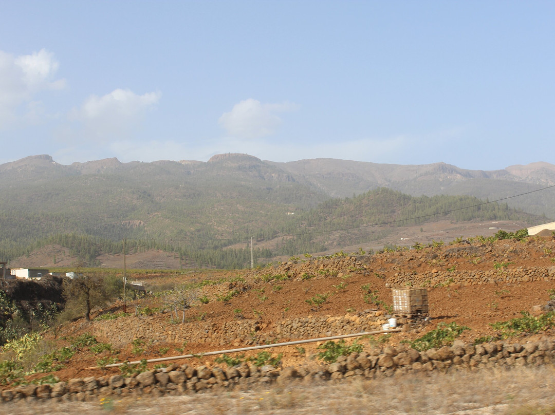 Quad Squad Tenerife-阿罗纳必去景点