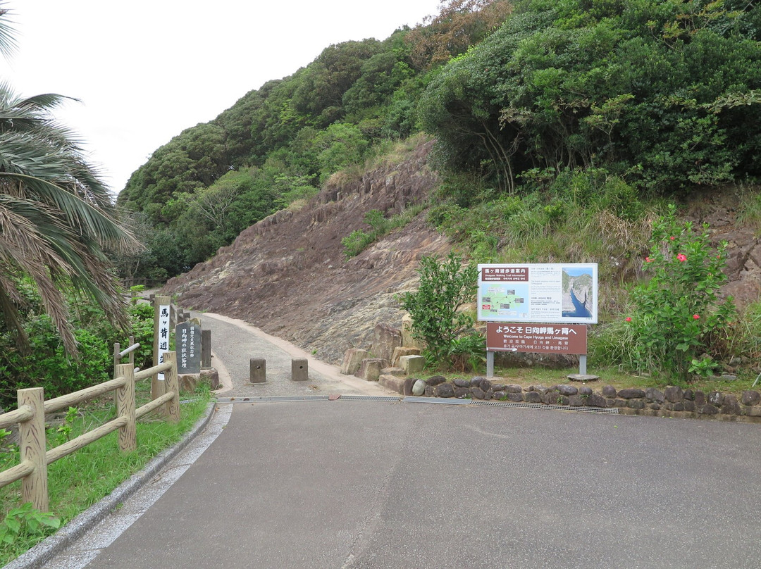 Hyugasaki Umagase景点图片